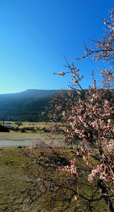 Auberge Cozy&Family La Palud-sur-Verdon Zewnętrze zdjęcie